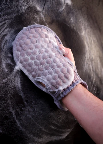 Ippico Equestrian - Sponge Mitt