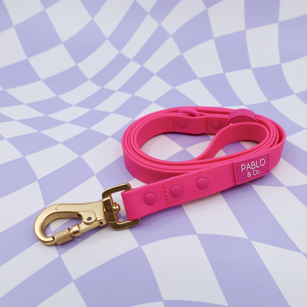 Pablo & Co Waterproof Dog Leash - Dragonfruit