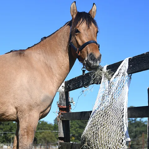 Bainbridge Slow Feed Hay Net - Dual Anchor