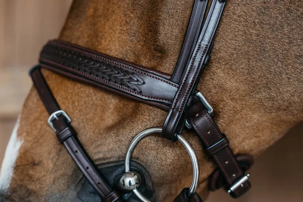 Dy'On Plaited Flash Noseband Bridle with Pull Back - New English Collection
