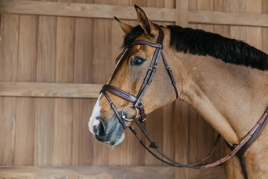 Dy'On Plaited Flash Noseband Bridle with Pull Back - New English Collection