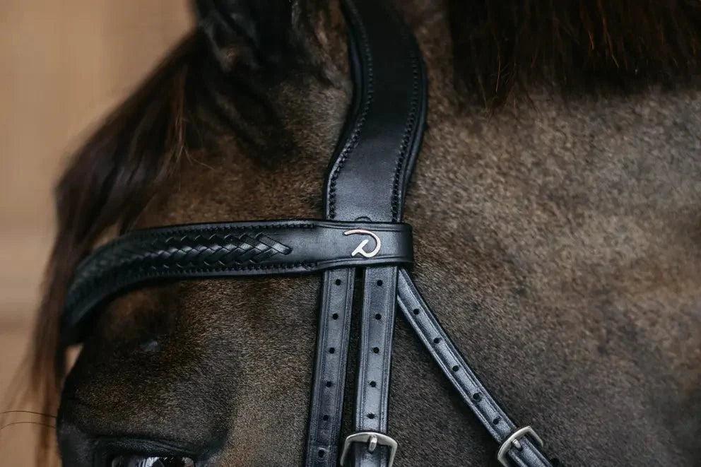 Dy'On Plaited Flash Noseband Bridle with Pull Back - New English Collection