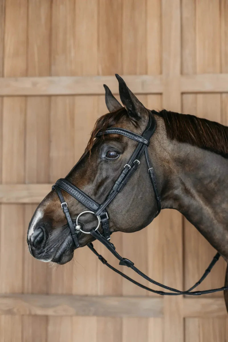 Dy'On Plaited Flash Noseband Bridle with Pull Back - New English Collection