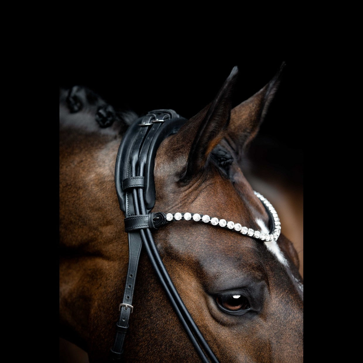 SD Design Zhivago Rolled Bridle - Black/Black Patent