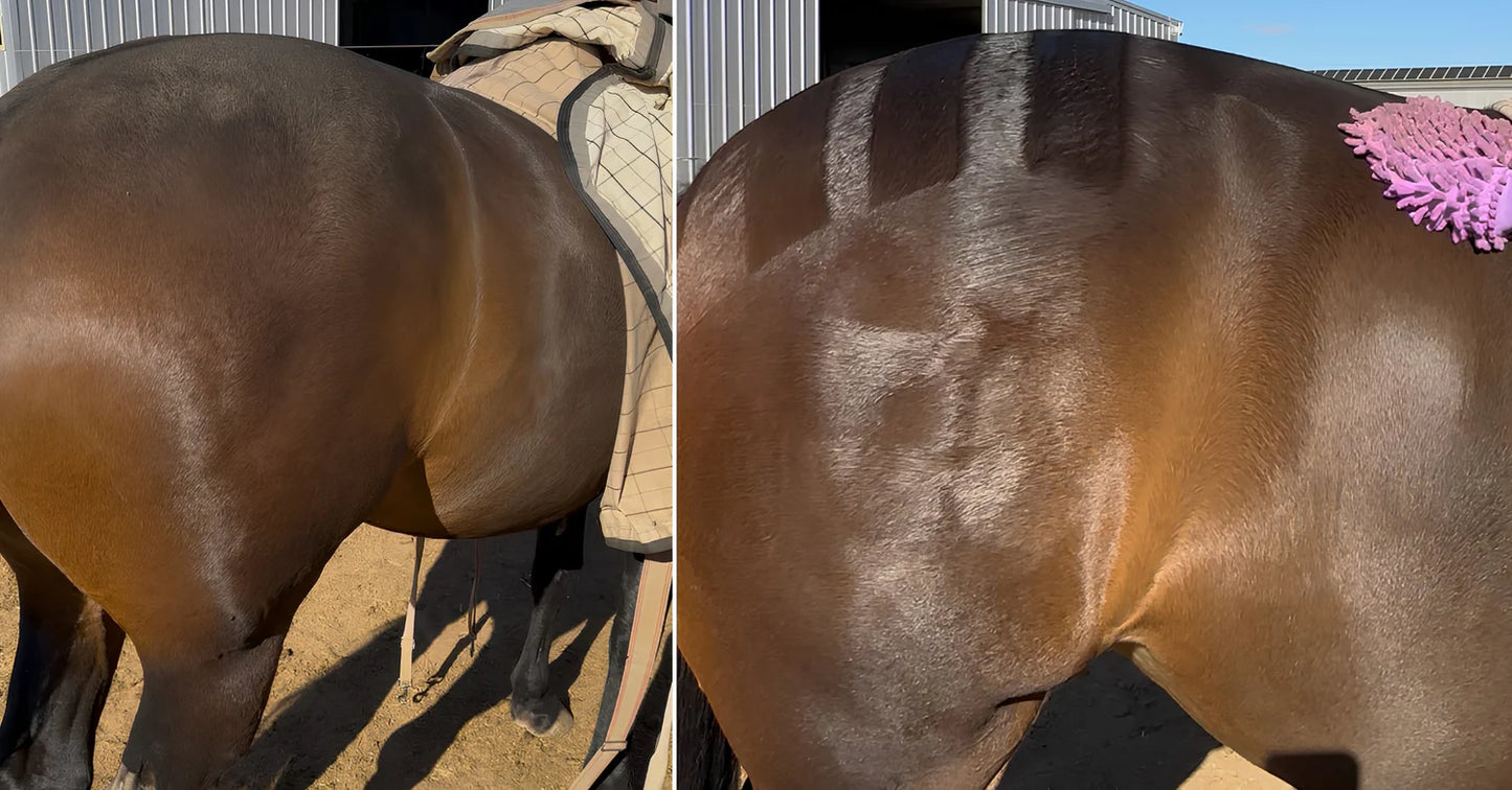 Horse Queened Swash It - 500ml