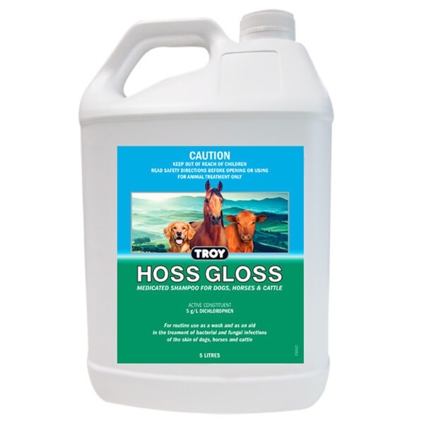 Troy Hoss Gloss