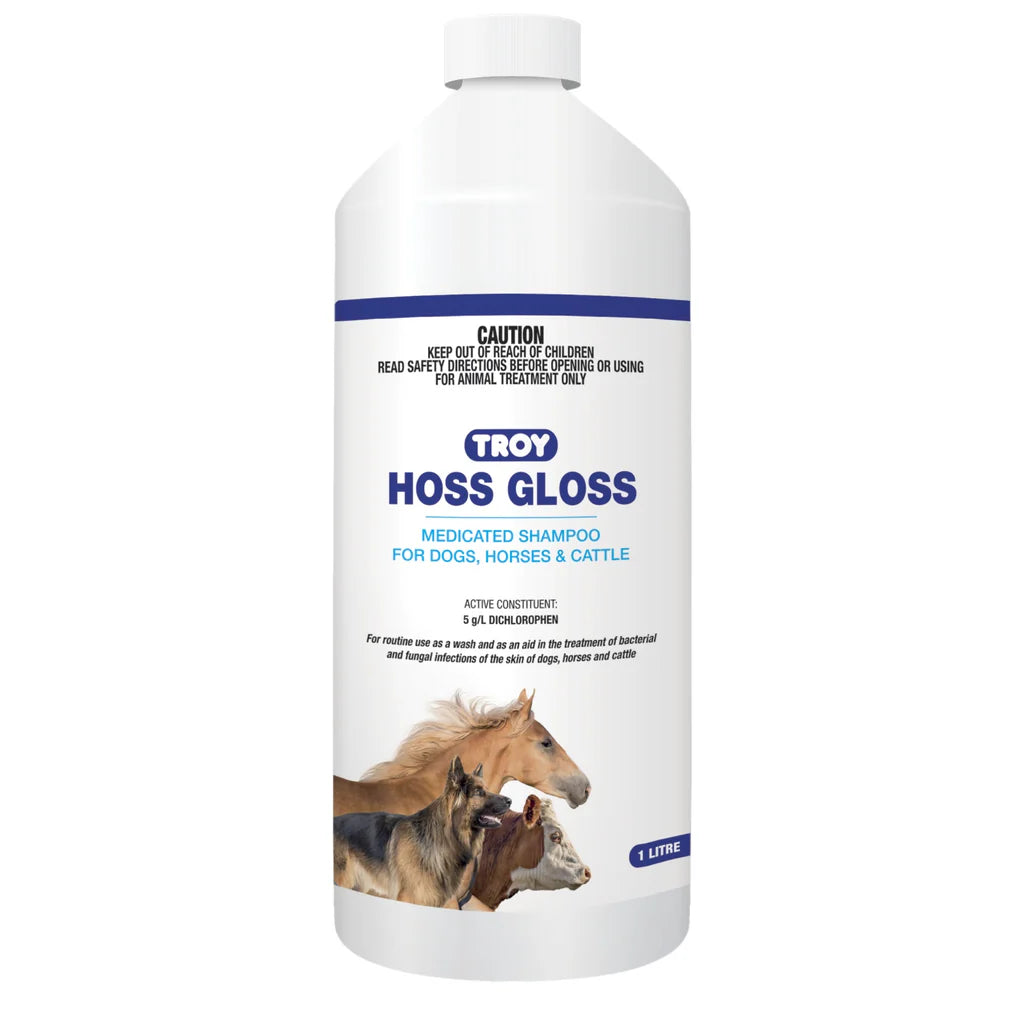 Troy Hoss Gloss