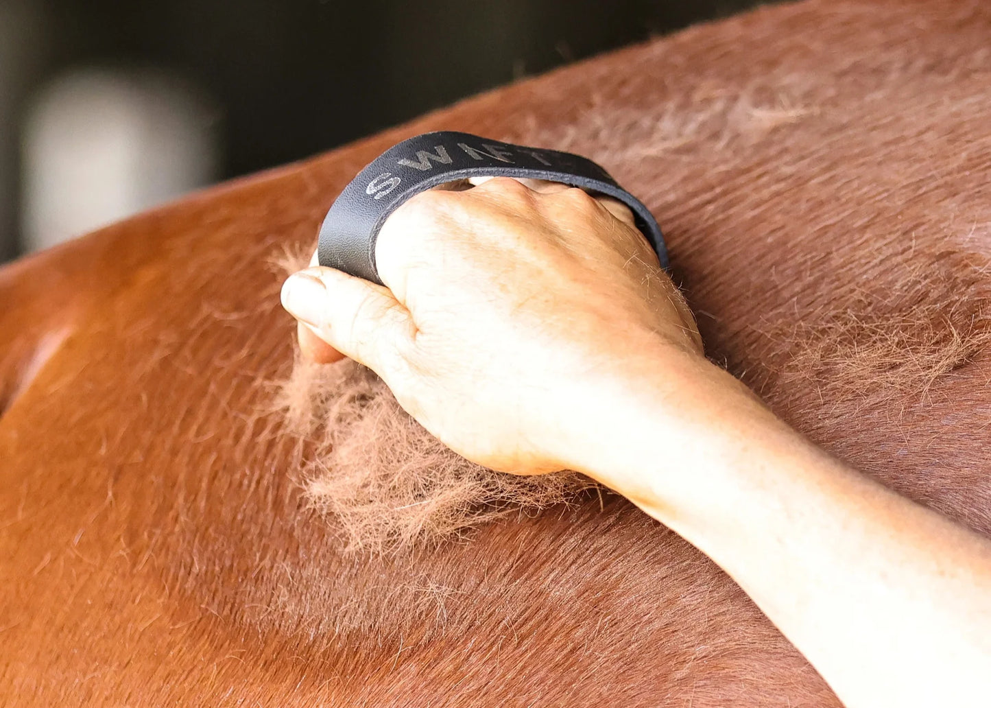 Ippico Equestrian "Swift" Curry Comb