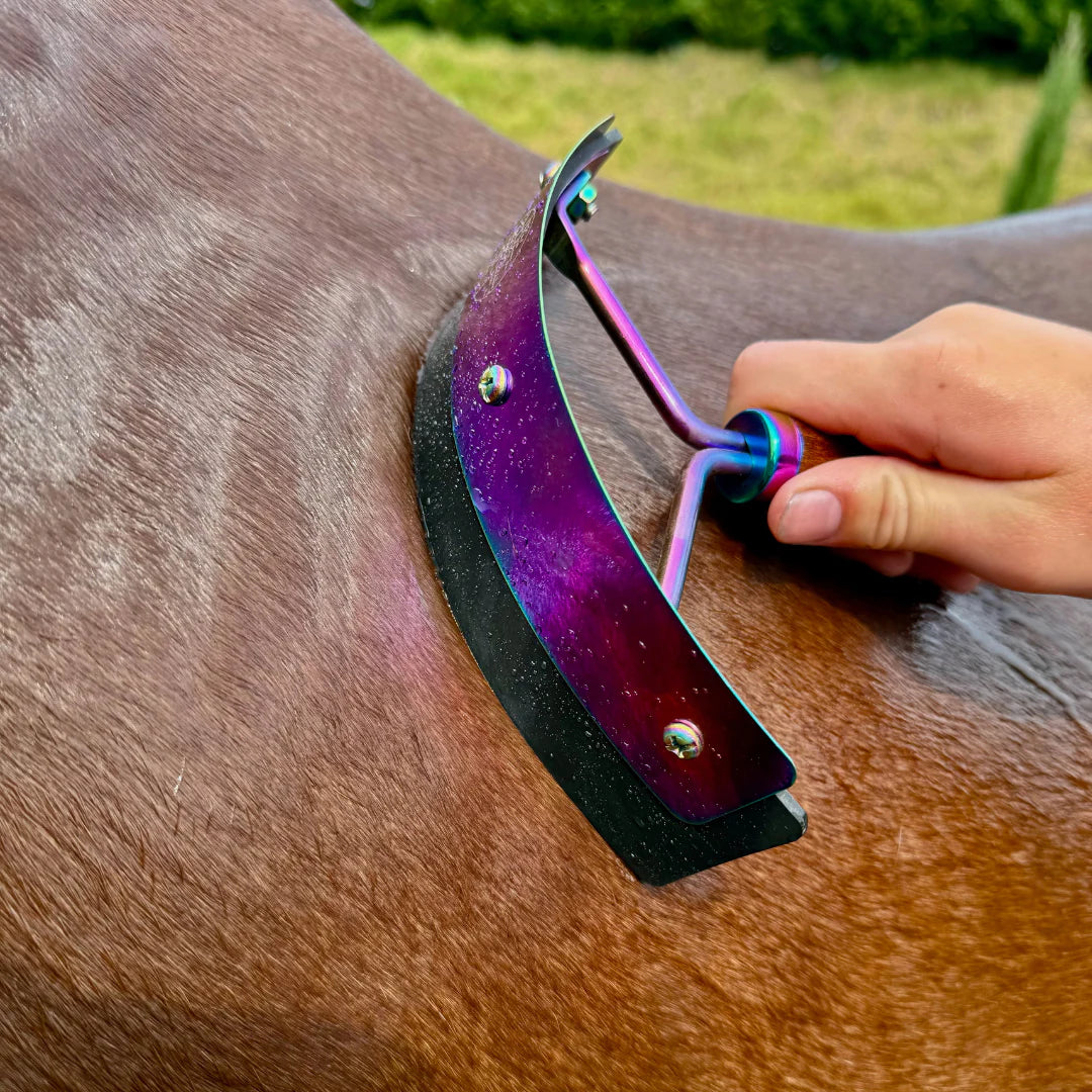 Hairy Pony Rainbow Sweat Scraper