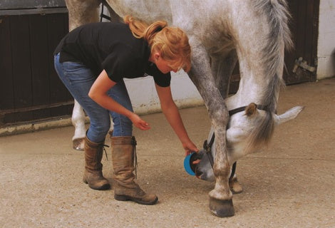 Horslyx Digestion Paddock Vitamin & Mineral Lick