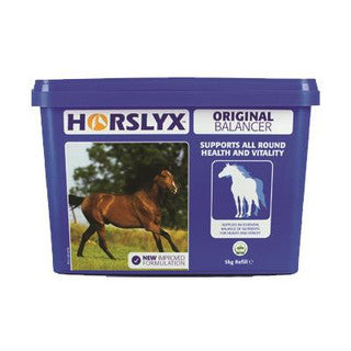 Horslyx Original Paddock Vitamin & Mineral Lick