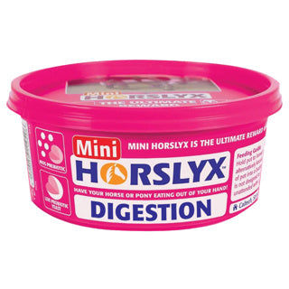 Horslyx Digestion Paddock Vitamin & Mineral Lick
