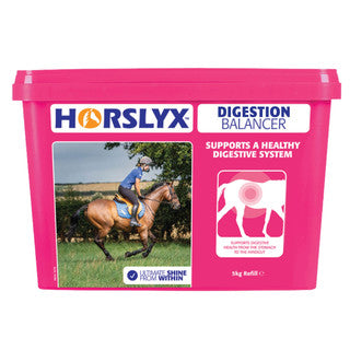 Horslyx Digestion Paddock Vitamin & Mineral Lick