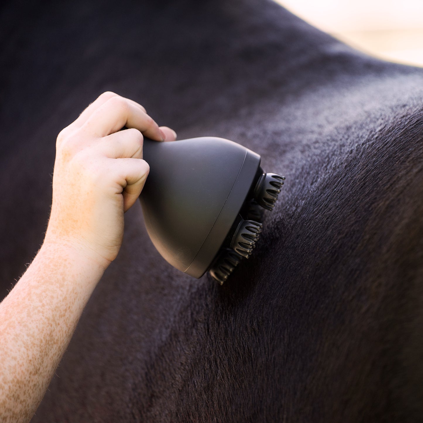 Imperial Riding Grooming and Relaxation Brush IRHVolta