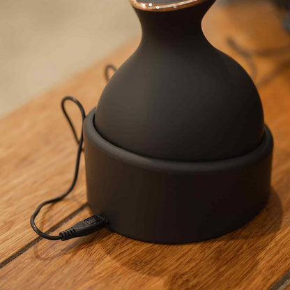 Imperial Riding Grooming and Relaxation Brush IRHVolta