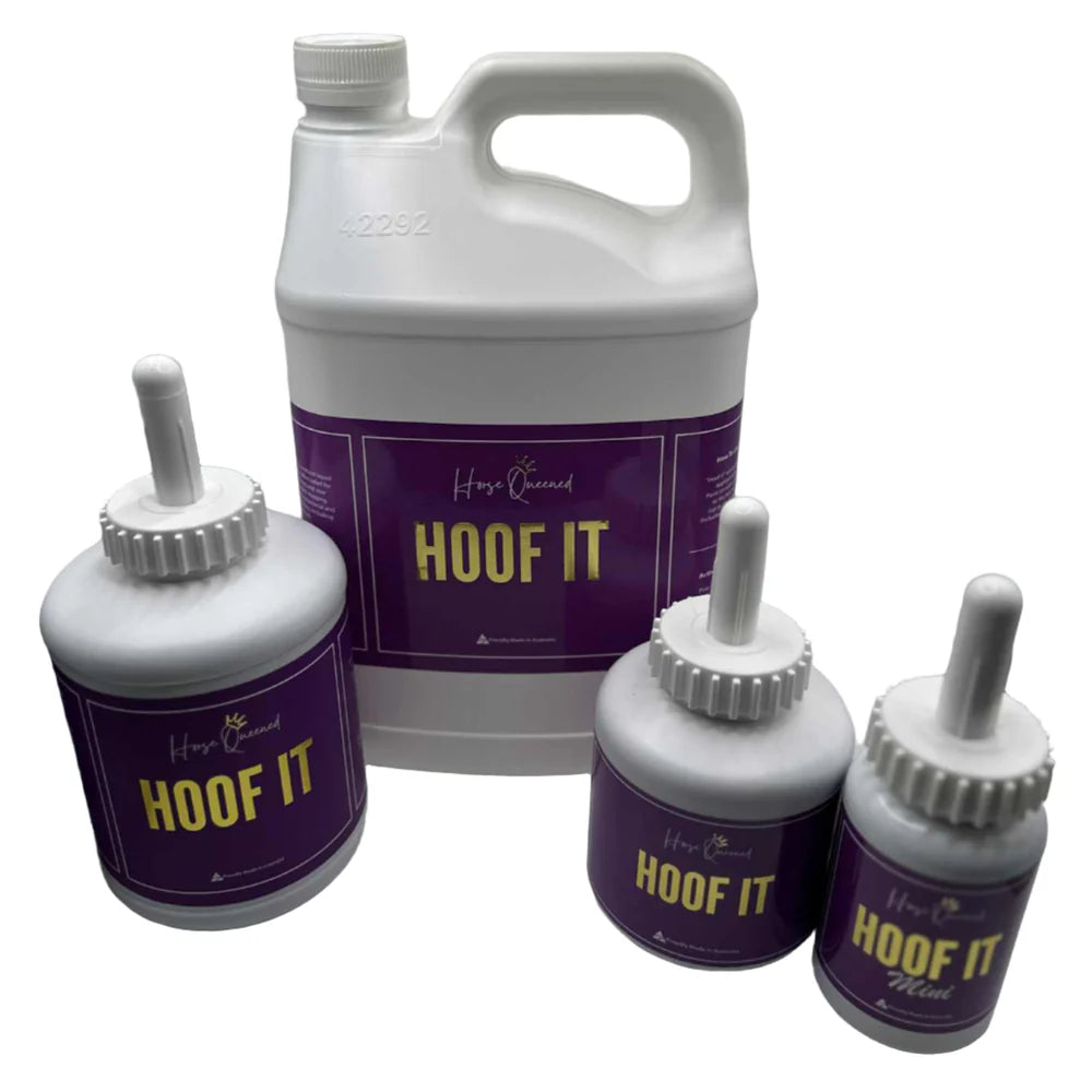 Horse Queened Hoof It