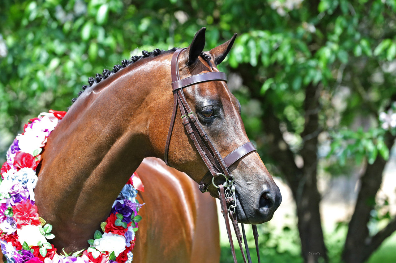 White Horse Equestrian Imperial Hunter Weymouth Bridle