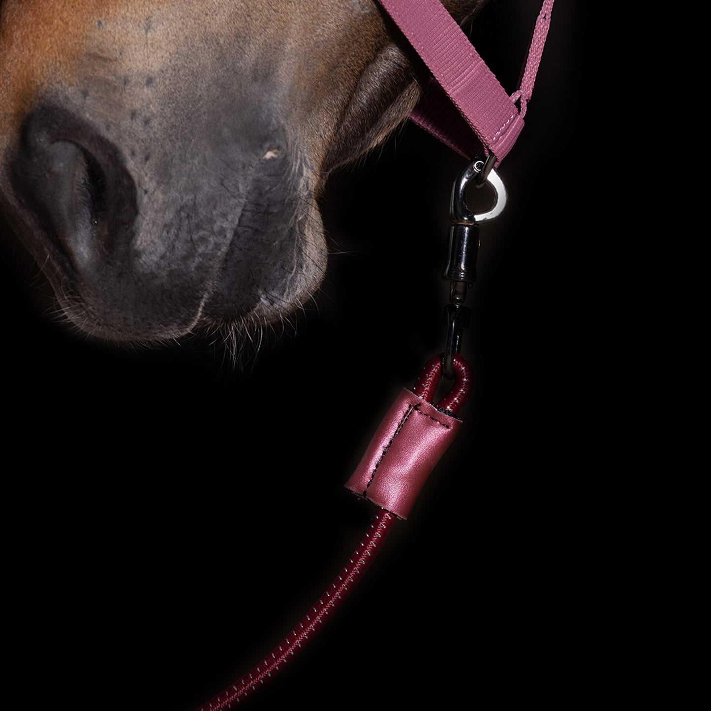 Imperial Riding Trailerline IRHElastic - 60cm