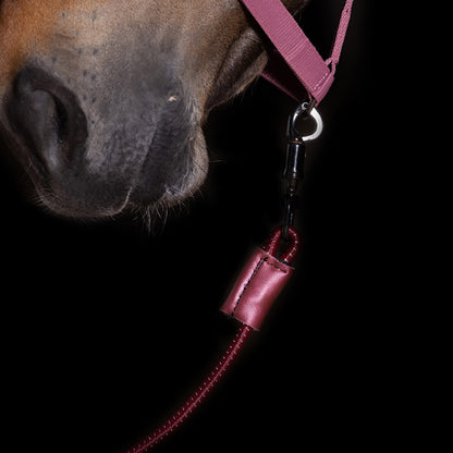 Imperial Riding Trailerline IRHElastic - 60cm