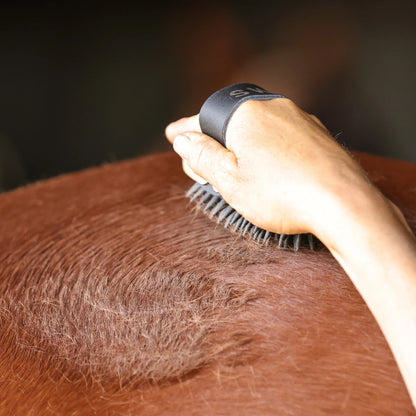 Ippico Equestrian "Swift" Curry Comb