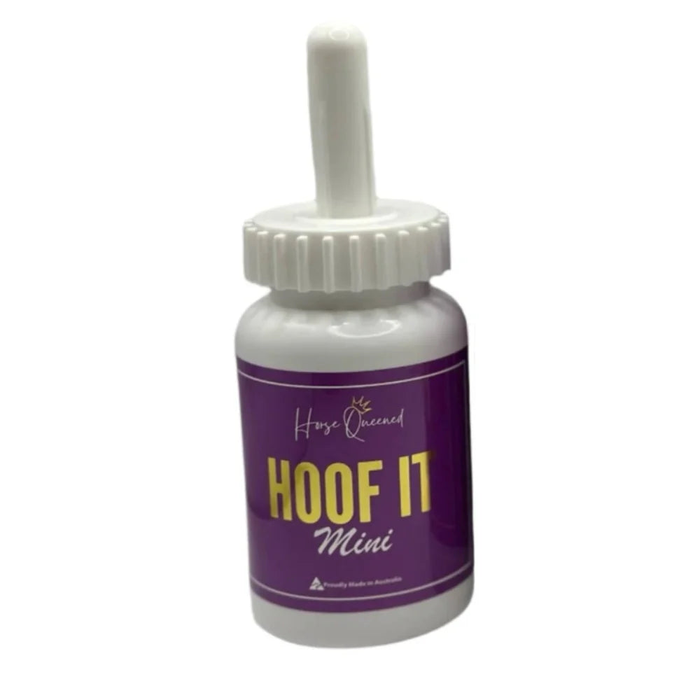 Horse Queened Hoof It