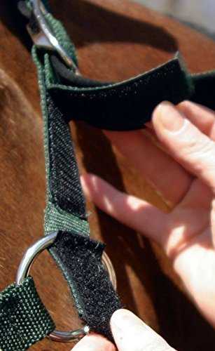 GreenGuard Breakaway Halter