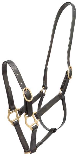 Zilco PN Halter