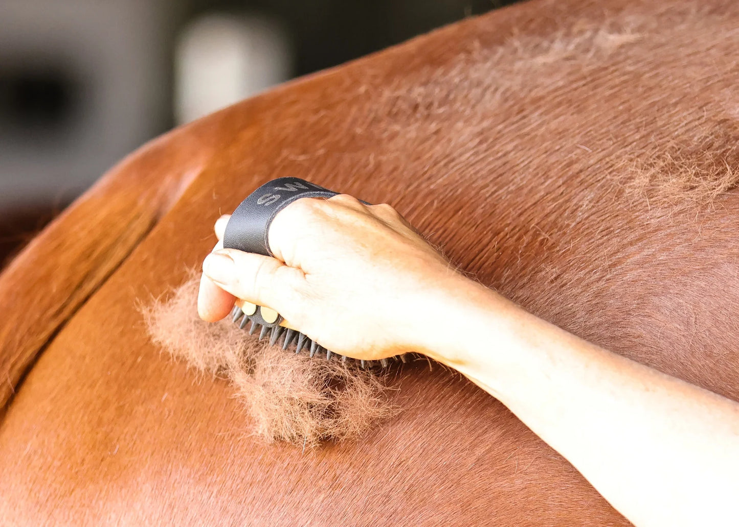 Ippico Equestrian "Swift" Curry Comb
