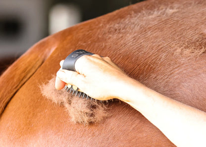 Ippico Equestrian "Swift" Curry Comb