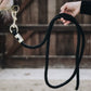 Kentucky Lead Rope - Basic - 2m