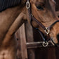 Kentucky Leather Rope Halter - Brown Leather
