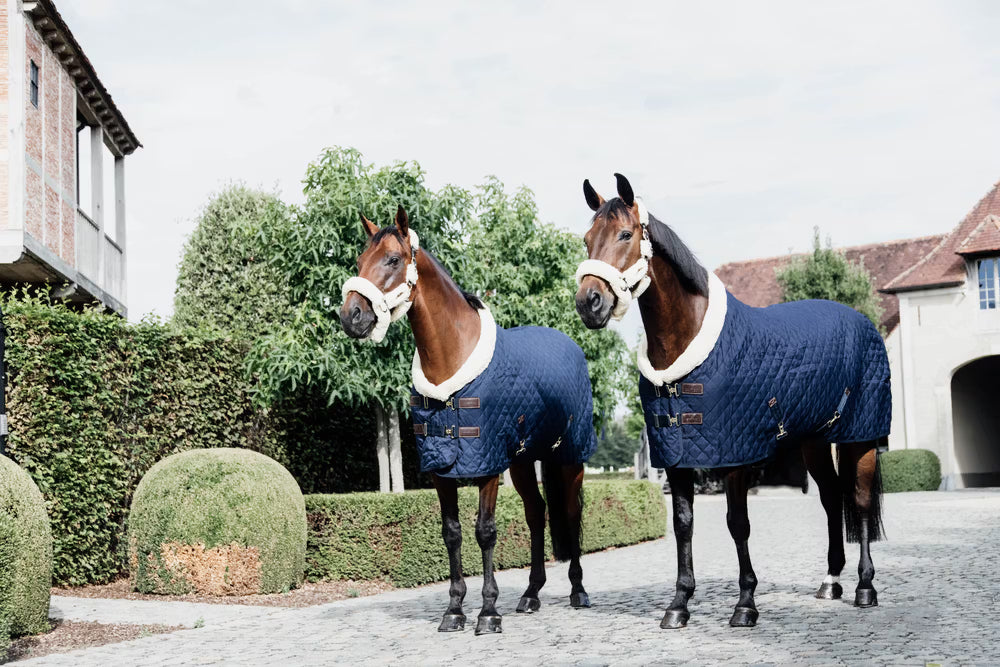 Kentucky Show Rug - Diamond Quilt