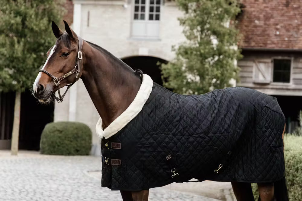 Kentucky Show Rug - Diamond Quilt