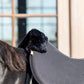 Kentucky Natural Sheepskin Anatomic Half Pad Absorb