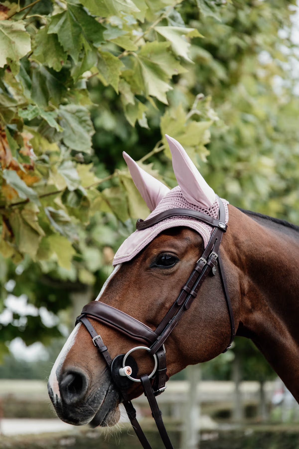 Kentucky Fly Veil Wellington Velvet - Soundless