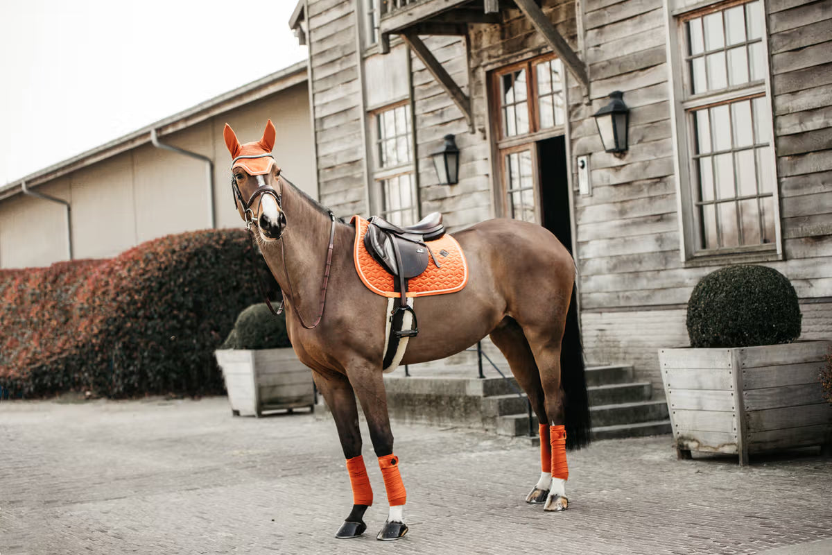 Kentucky Fly Veil Wellington Velvet - Soundless