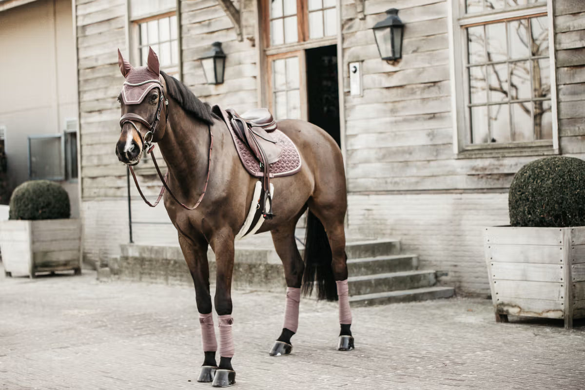 Kentucky Fly Veil Wellington Velvet - Soundless