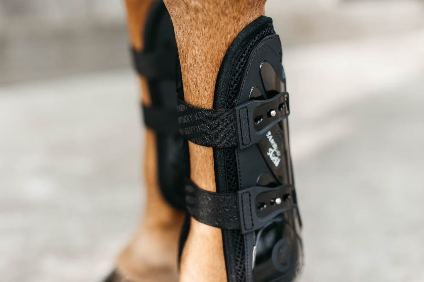 Kentucky Tendon Boots Bamboo Elastic