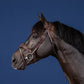 Dy'on Anatomic Flash Noseband Bridle - US Collection
