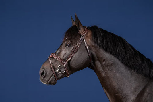 Dy'on Anatomic Flash Noseband Bridle - US Collection