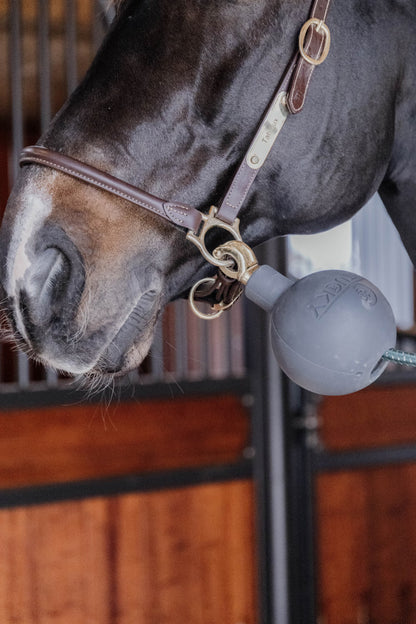 Kentucky Rubber Ball Protection Wall and Lead