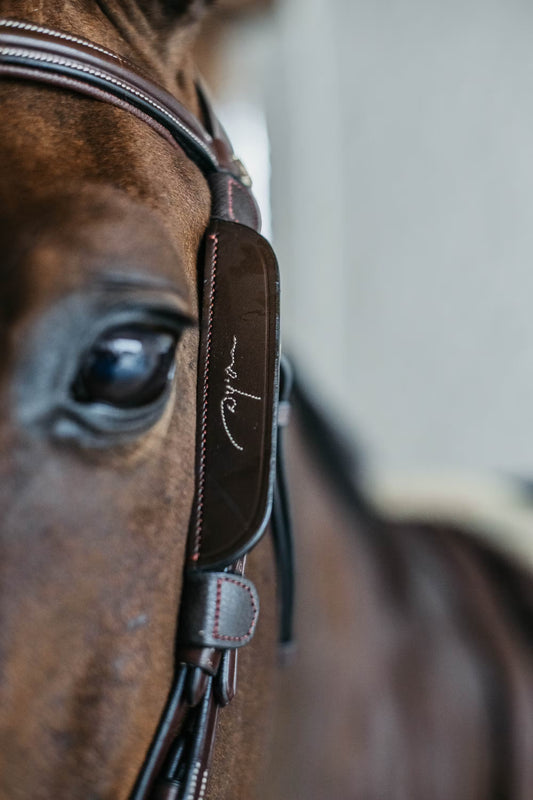 Dy'on Blinkers with Fancy Stitching
