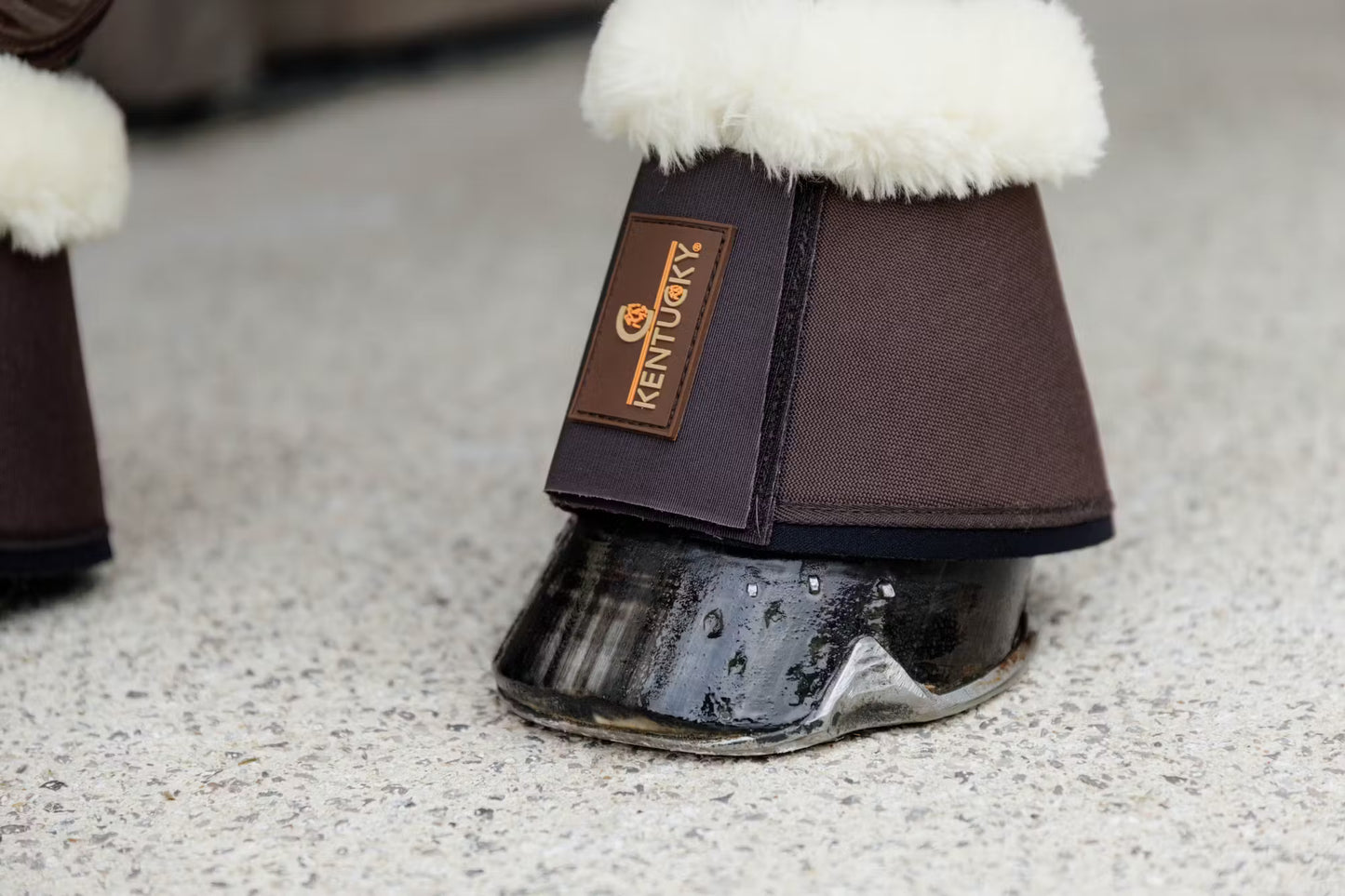 Kentucky Sheepskin Overreach Boots Solimbra