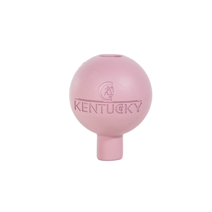 Kentucky Rubber Ball Protection Wall and Lead