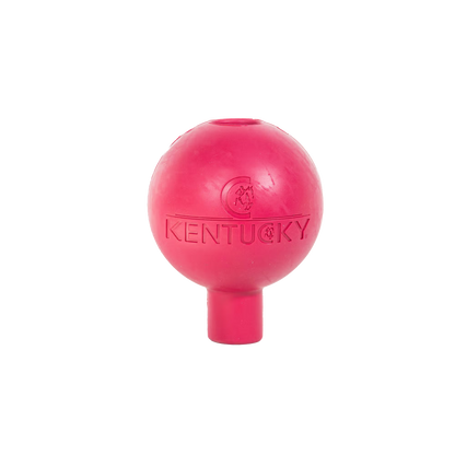Kentucky Rubber Ball Protection Wall and Lead