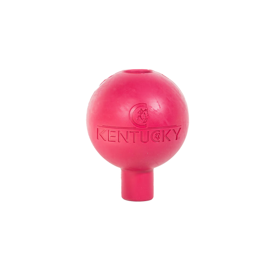 Kentucky Rubber Ball Protection Wall and Lead