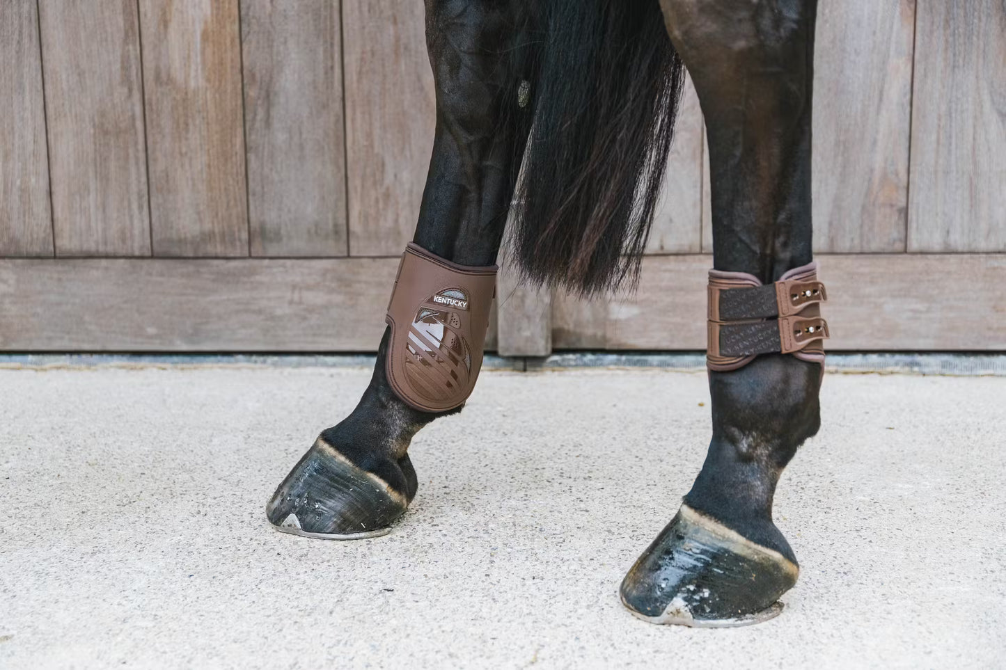 Kentucky Fetlock Boots Elastic