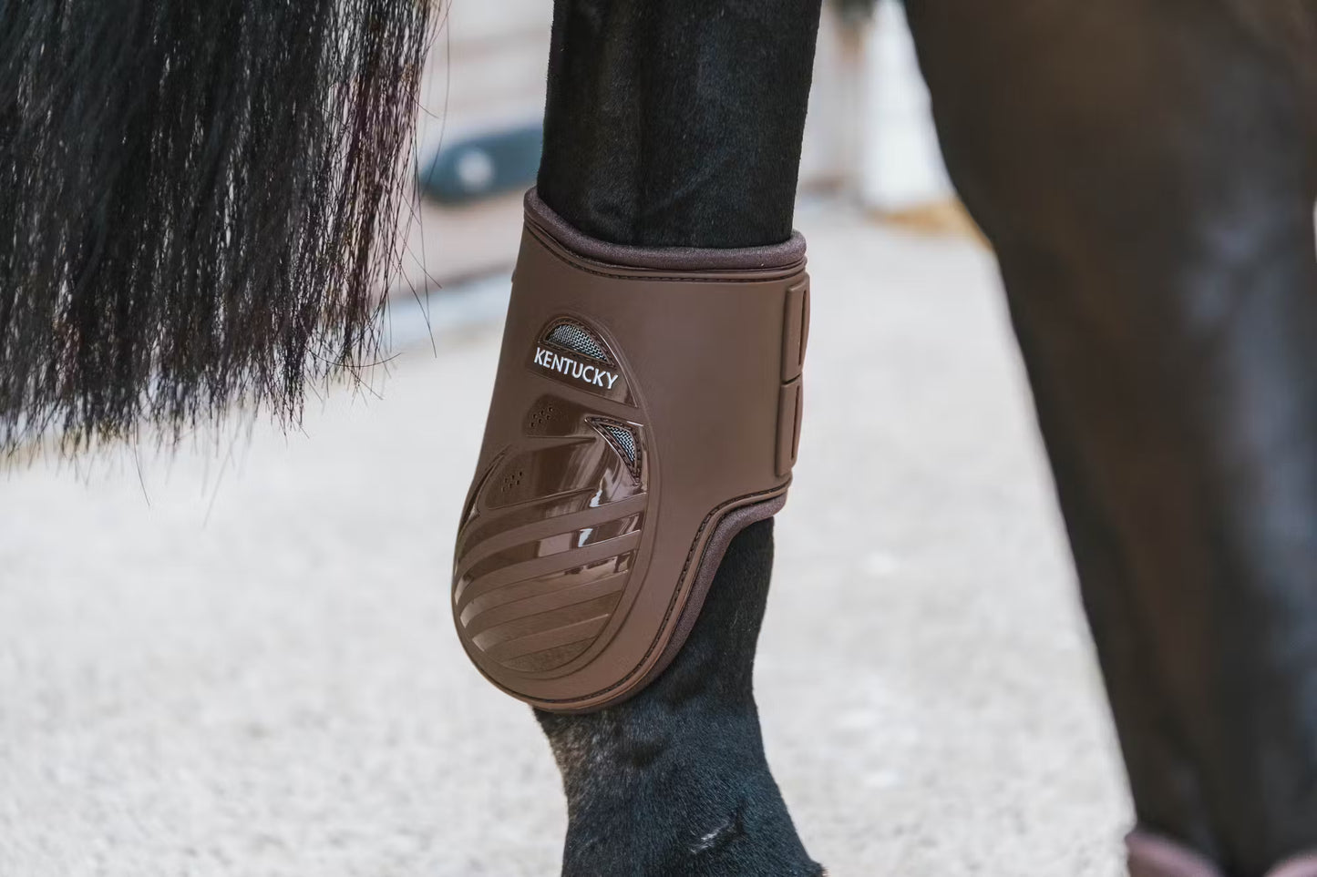 Kentucky Fetlock Boots Elastic