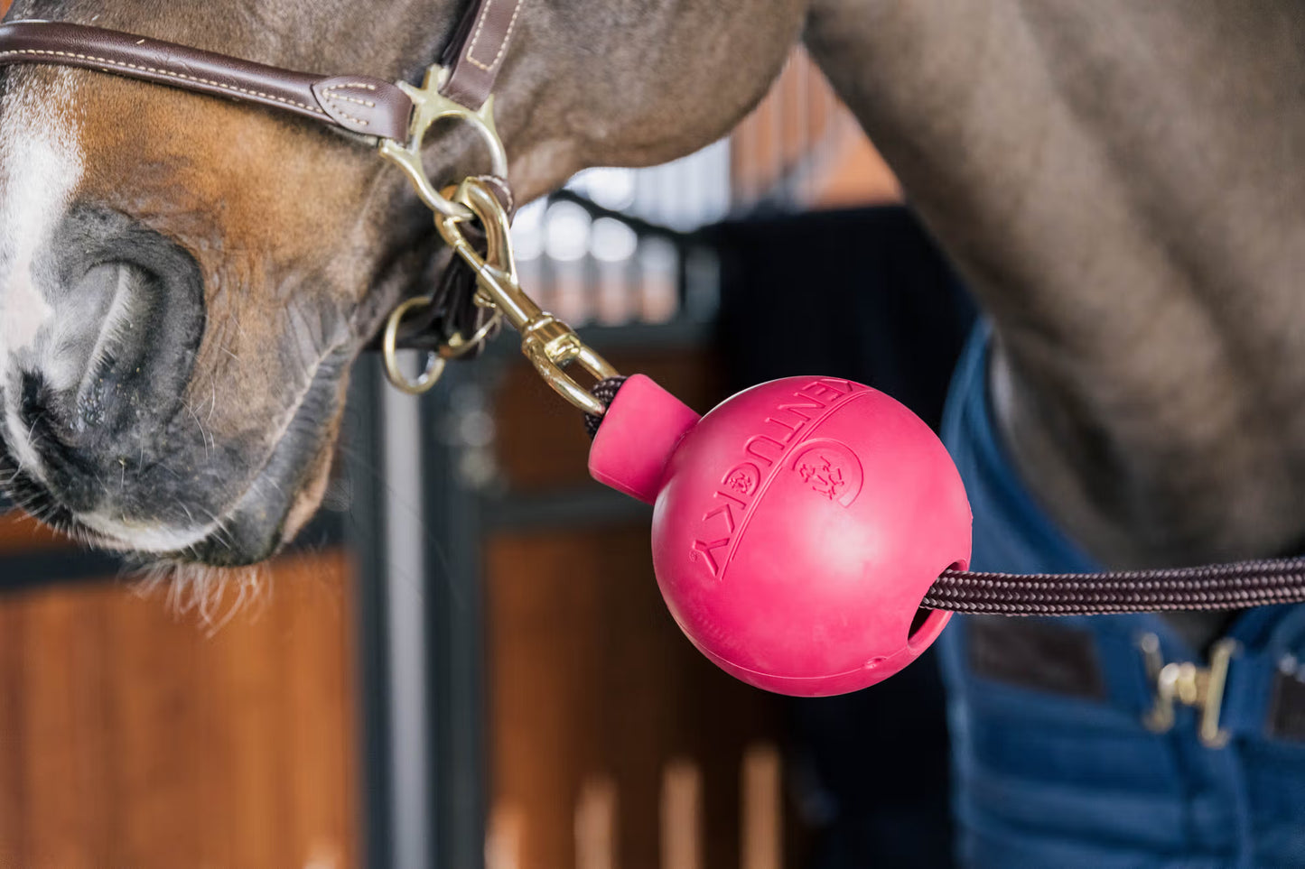 Kentucky Rubber Ball Protection Wall and Lead