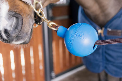 Kentucky Rubber Ball Protection Wall and Lead